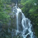 Schlosshotel Blankenburg 4* Blankenburg (Harz)