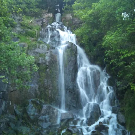 Schlosshotel Blankenburg 4* בלאנקנבורג