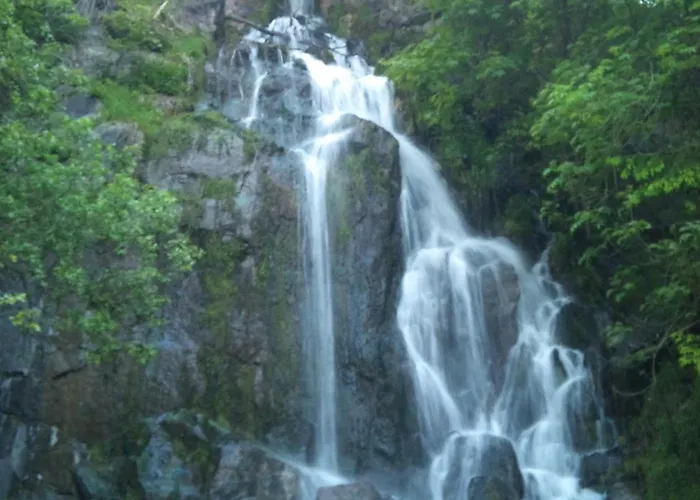 Schlosshotel Blankenburg 4* Blankenburg (Harz)